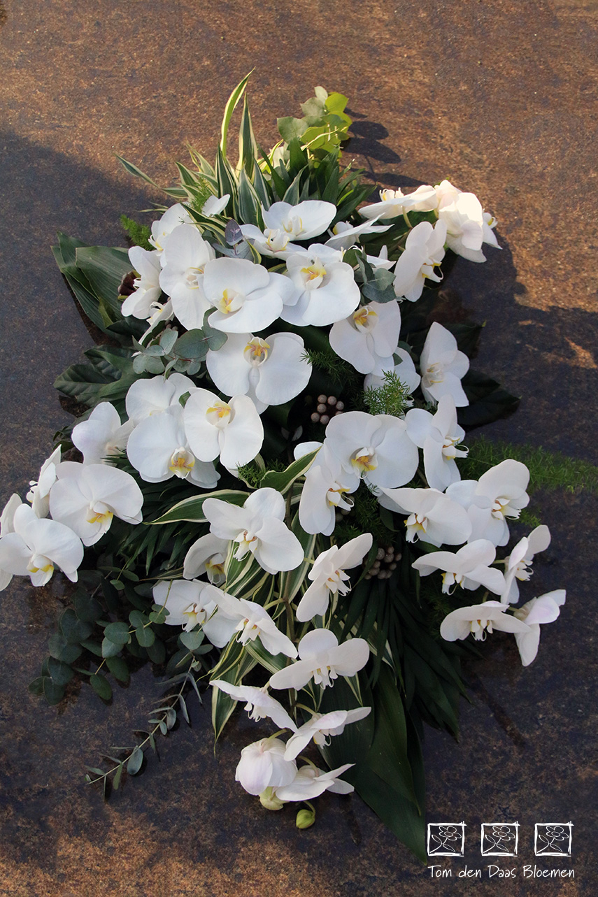 Rouwstuk-Nr13-witte-phalaenopsis2